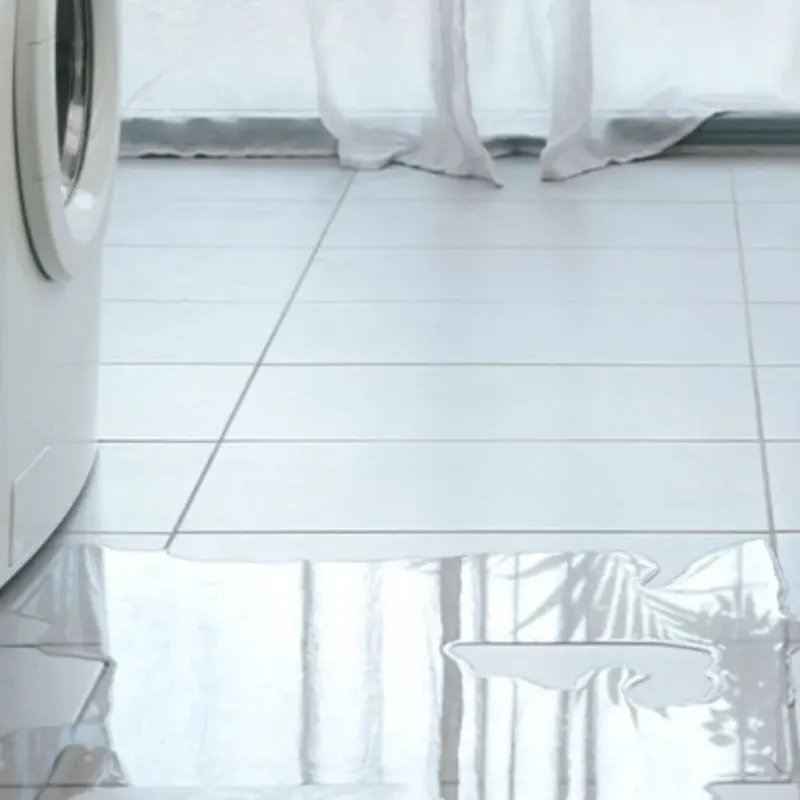 Appliance Leak Cleanup in Crisfield, MD