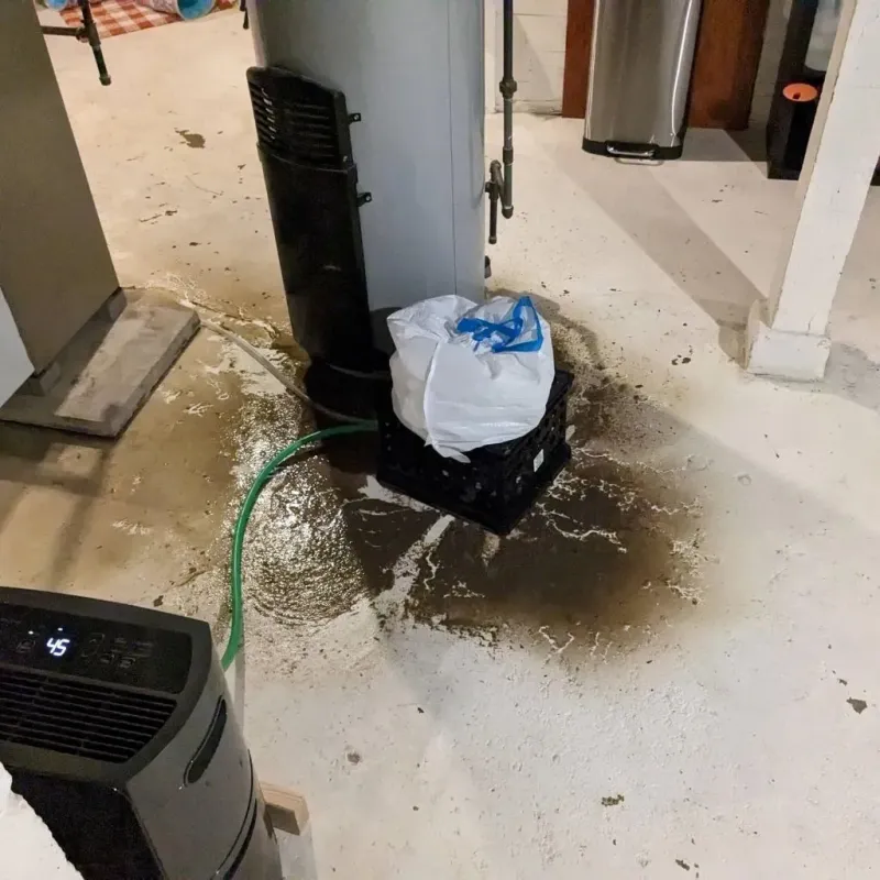 Sewage Backup Cleanup Service in Crisfield, MD